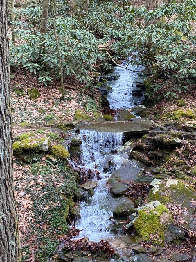 Pine Mountain Inn Pineville Экстерьер фото